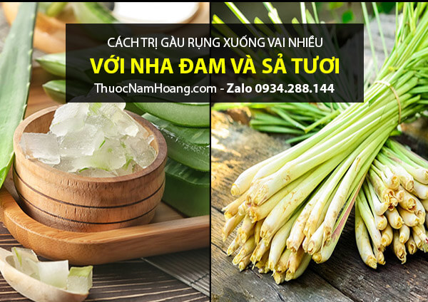 Làm cách nào để hết gầu bằng sả và nha đam