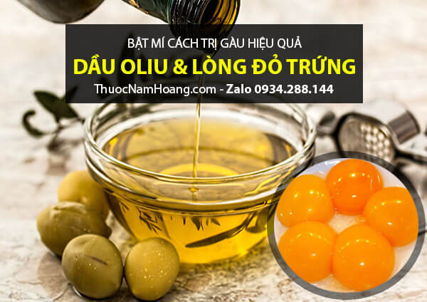 Cách chữa gàu da đầu bằng dầu oliu với lòng đỏ trứng gà
