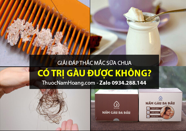 Trị gàu bằng sữa chua có hiệu quả không