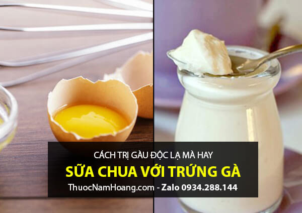 Cách trị da đầu bị gàu bằng sữa chua với trứng gà