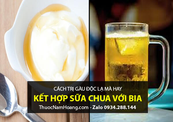 Mẹo trị gàu hiệu quả bằng sữa chua và bia