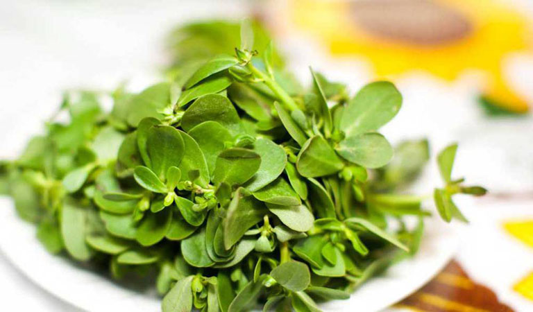 Trị lác đồng tiền cho trẻ bằng rau sam