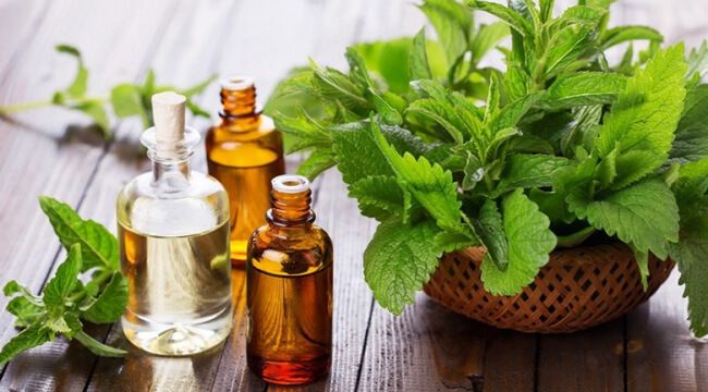 Cách chữa lác đồng tiền ở háng bằng tinh dầu