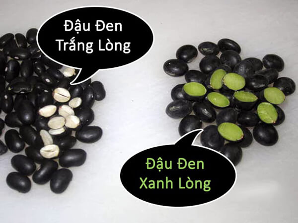 mua đậu đen xanh lòng ở đâu