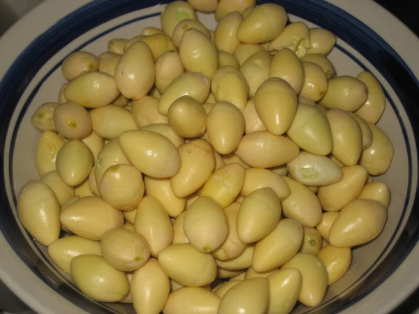 Công dụng của bạch quả