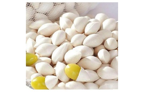 Bạch quả có thể chữa bệnh gì