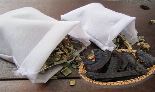 bồ kết mua ở đâu
