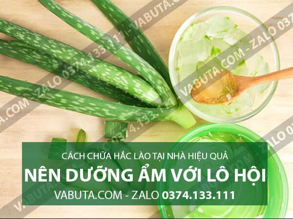 Chữa hắc lào bằng lô hội