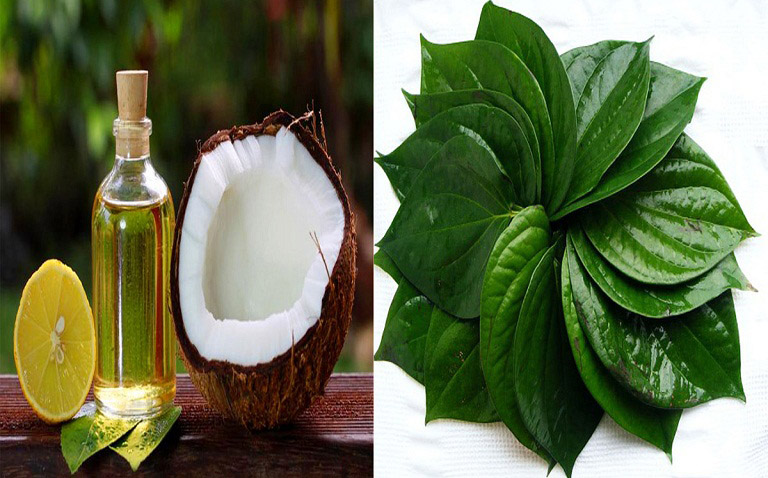 Chữa hắc lào bằng dầu dừa và trầu không