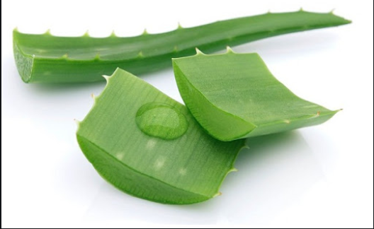 nguyên liệu tự nhiên để giảm ngứa da về đêm
