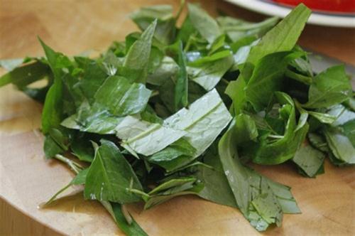 cách trị lang ben bằng rau răm
