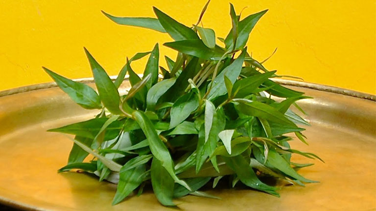 trị lang beng cho trẻ bằng rau răm