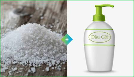 Trị gàu bằng muối và dầu gội đầu