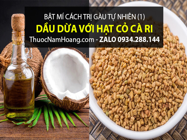trị gàu bằng cỏ dầu dừa và cỏ cà ri