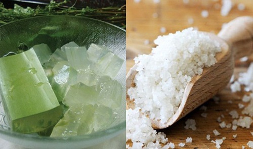 Nha đam và muối trắng loại bỏ gàu