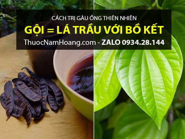 Trị gàu ống bằng lá trầu và bồ kết