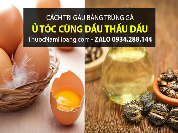 Trứng Gà với Dầu Thầu Dầu trị gàu