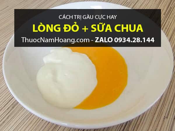 Lòng Đỏ Trứng Gà với Sữa Chua trị gàu