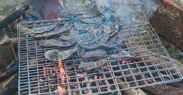 Gội đầu bằng bồ kết nướng trị gàu