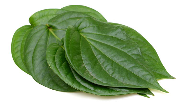 Cách ngâm rửa với lá trầu không