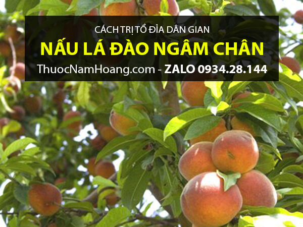 Dùng lá đào ngâm rửa để làm giảm triệu chứng