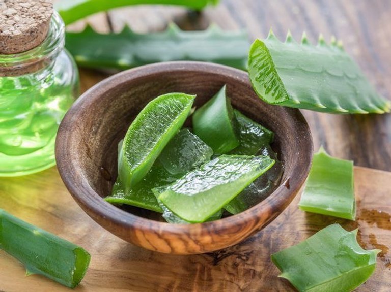 Chữa bệnh chàm da bằng Nha Đam