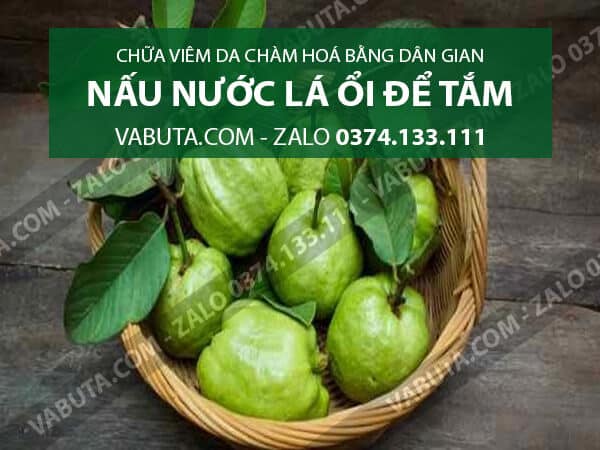 Chữa viêm da chàm hoá bằng Lá Ổi: