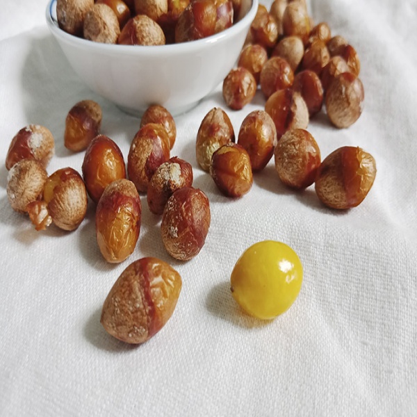vị thuốc từ bạch quả