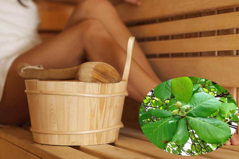 tắm nước lá bàng trị chàm da