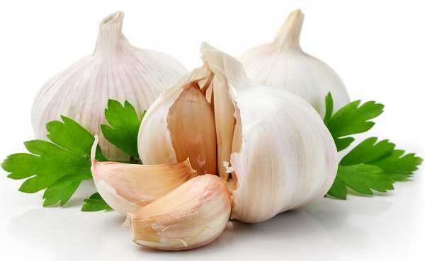 dùng tỏi trị bệnh chàm có tốt không