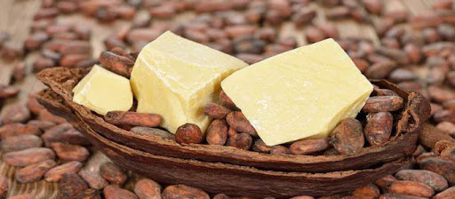 Bơ cacao có trị bệnh chàm