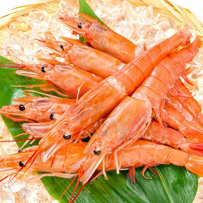 Sử dụng tôm đỏ trị chàm xanh ở trẻ sơ sinh