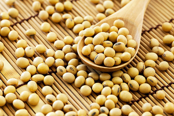 cần kiêng đậu nành khi bị chàm sữa