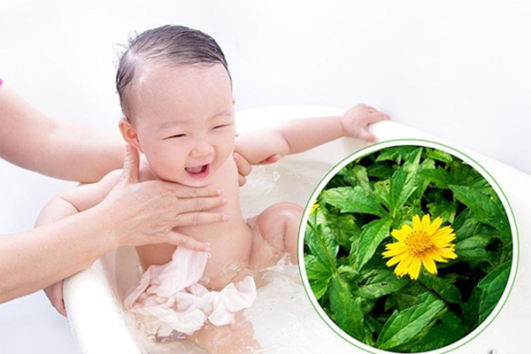 bé bị chàm sữa tắm lá gì