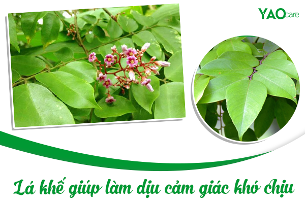Tắm bằng lá khế trị chàm sữa