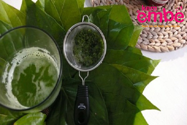 Thoa nước cốt trầu không trị chàm sữa