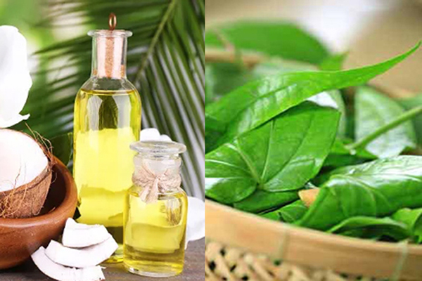cách trị chàm sữa bằng lá trầu không và dầu dừa