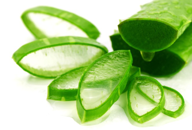 Nha đam chữa trị da khô ngứa mùa đông