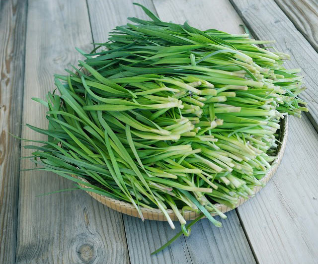 Dùng lá hẹ chữa trị ngứa da vào mùa đông
