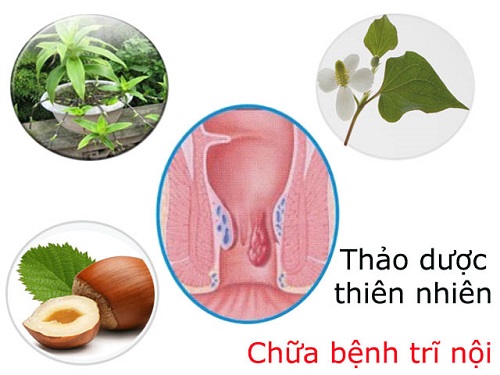 chua tri noi tai nha