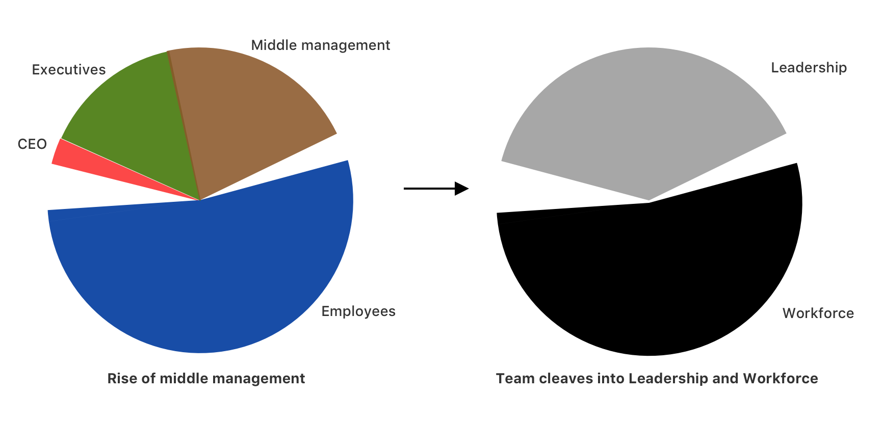 How the rise of middle management cleaves the team into leadership and workforce