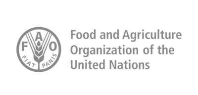 UN FAO Logo