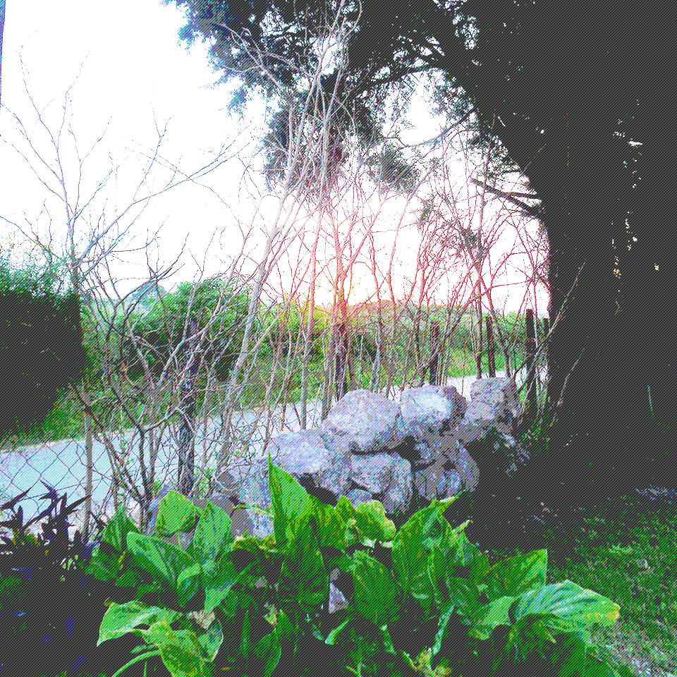 Small Potion - Sunset, rocks and plants