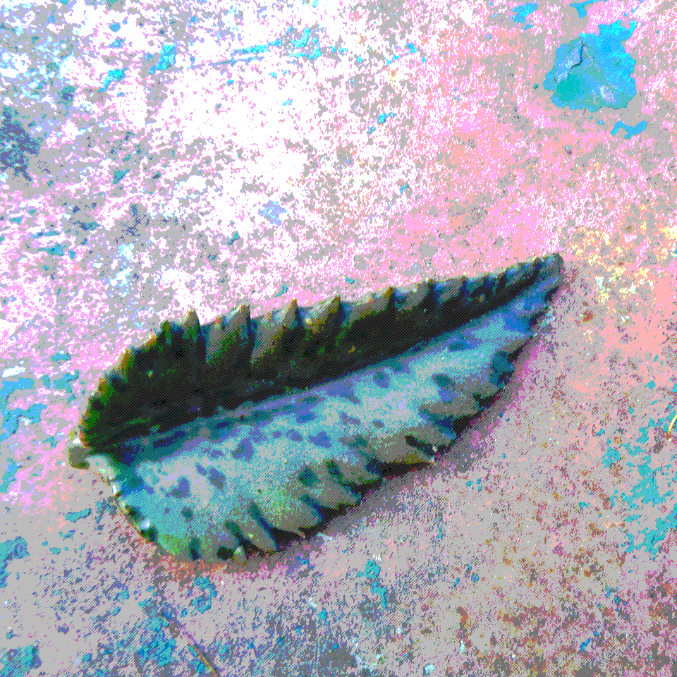 Small Potion - Kalanchoe leave over rust metal