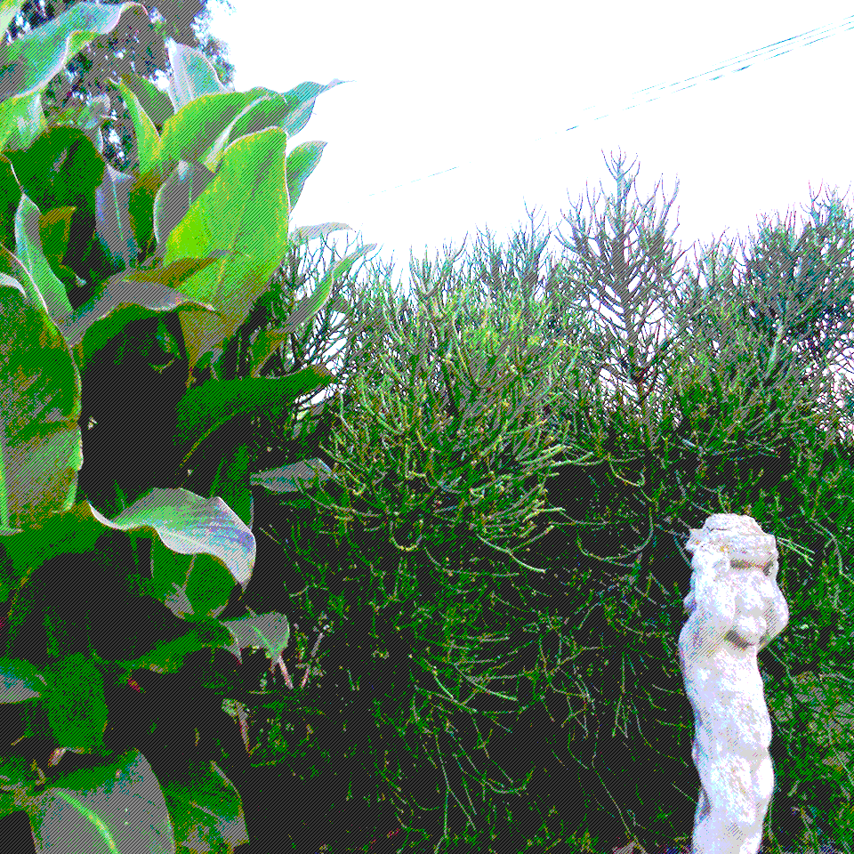 Small Potion - Outdoor plants and kid statue