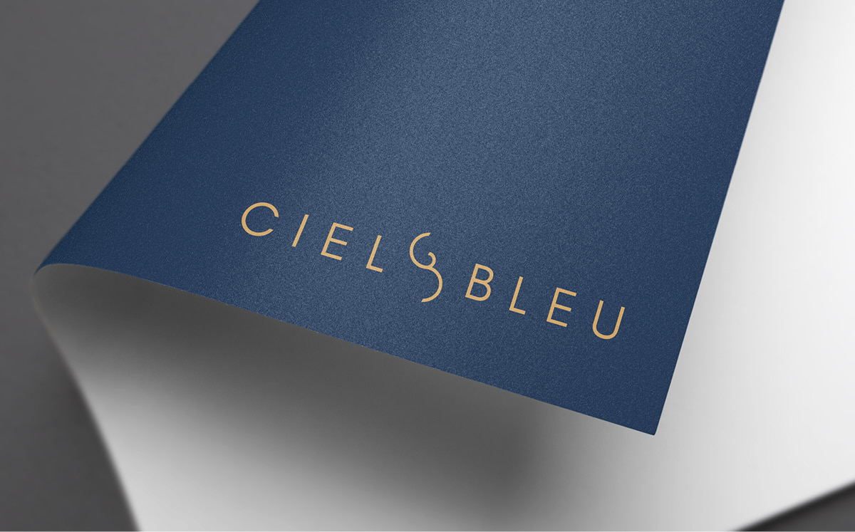 Logo Design Case Study