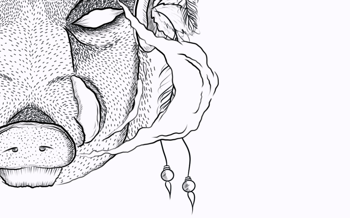 Illustration Case Study