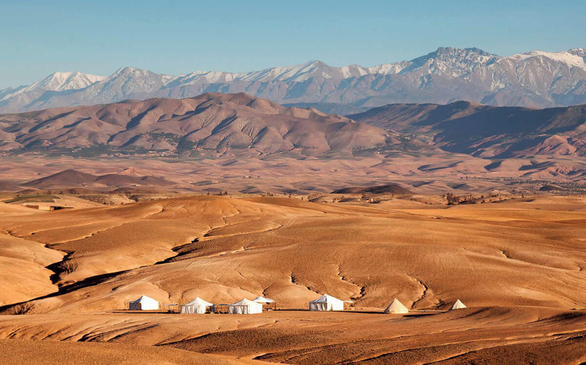 Black Tomato Case Study