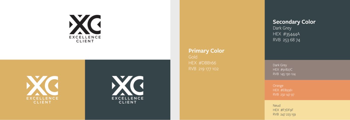 excellence client brand identity