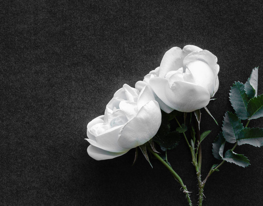 Does Social Security Cover the Cost of My Funeral?